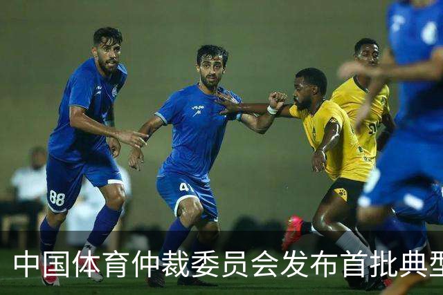 中国体育仲裁委员会发布首批典型案例