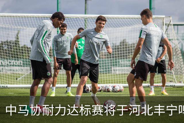 中马协耐力达标赛将于河北丰宁鸣枪 数十家专业马术俱乐部角逐