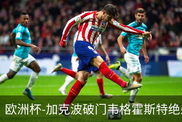 欧洲杯-加克波破门韦格霍斯特绝杀 荷兰2-1波兰