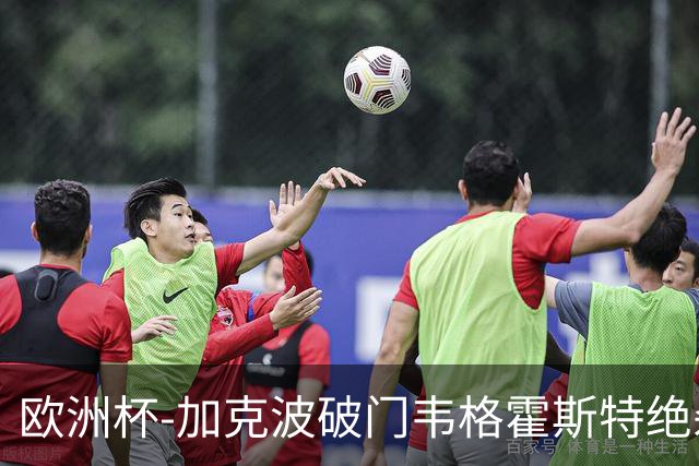 欧洲杯-加克波破门韦格霍斯特绝杀 荷兰2-1波兰