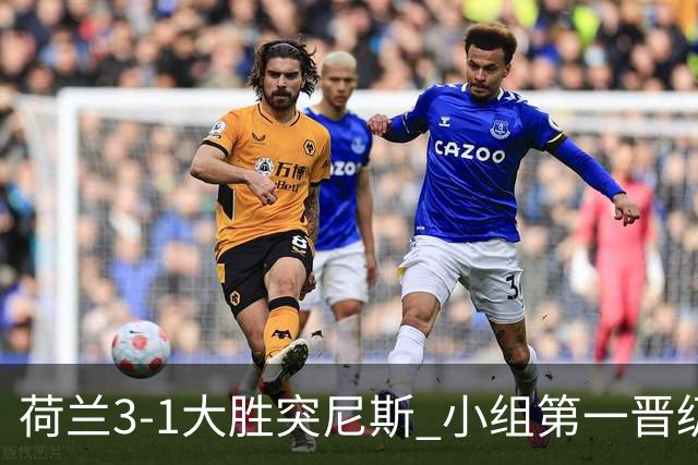 荷兰3-1大胜突尼斯 小组第一晋级淘汰赛将战摩洛哥
